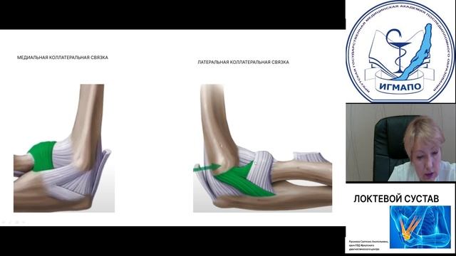 Локтевой сустав смотреть онлайн