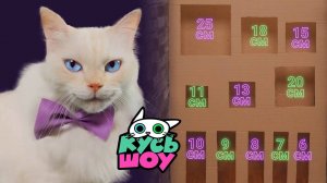 СУПЕР-ПРЕПЯТСТВИЯ ДЛЯ КОТА — Кусь-шоу — Весёлый челлендж