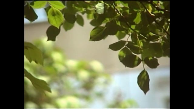 Panasonic M10 Vhs Test