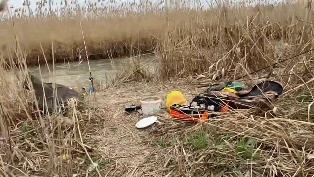 УДАЧНАЯ РЫБАЛКА В ДАГЕСТАНЕ НА САЗАНА 2 АПРЕЛЯ 2023 г. смотреть онлайн