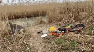 УДАЧНАЯ РЫБАЛКА В ДАГЕСТАНЕ НА САЗАНА  2 АПРЕЛЯ 2023 г.