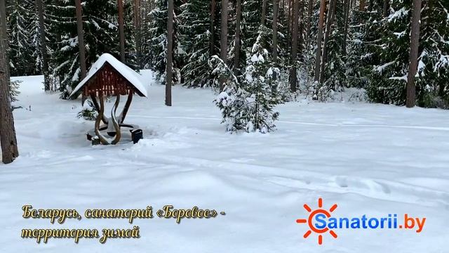 Санаторий Боровое - территория зимой, Санатории Беларуси смотреть онлайн