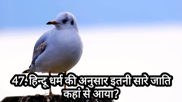 Birodhi Liye Sawal || 90 Amazing Sawal смотреть онлайн