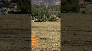 Продаю участки на Алтае, в Чемальском районе, где самый тёплый климат в Сибири!