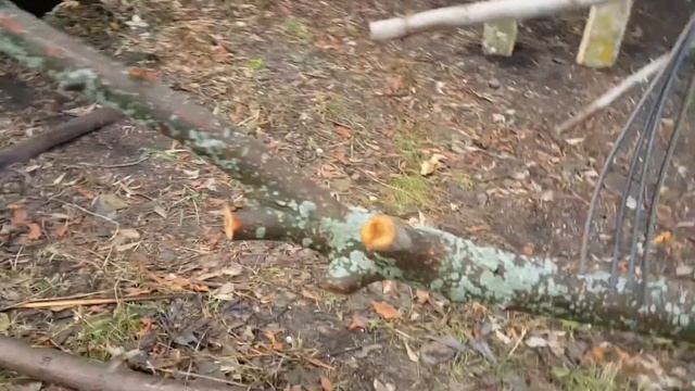 ЗАШИЛ ПЕРЕДНЮЮ ЧАСТЬ ФРОНТОНА ЛИСТАМИ OSB , ПОСТАВИЛИ ЭЛЕКТРОСЧЕТЧИК, ПОЧИНИЛ КРЫШУ. смотреть онлайн