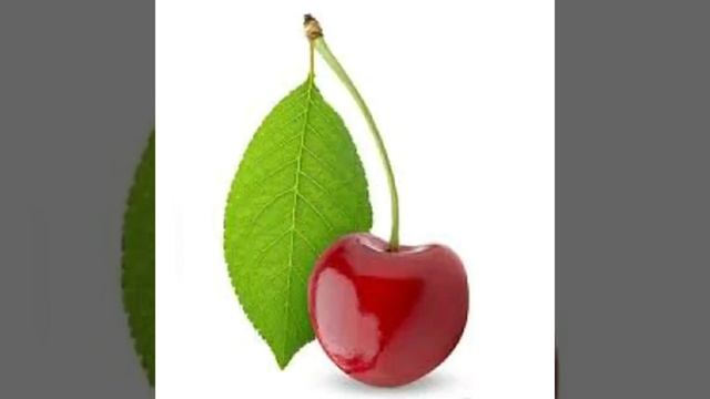 Джансеркеева Г.Э. смотреть онлайн