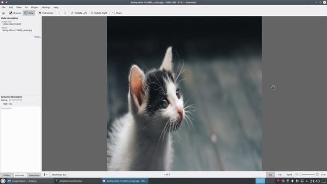 ImageMagick Introduction