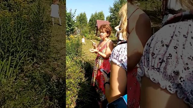 В лес с травницей. Золотая розга и девясил смотреть онлайн