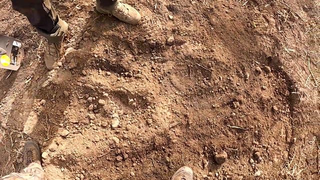 Увидит ли георадар клад на глубине 1,5 метра? Тест георадаров.