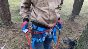 Обзор комплекта для арбористики (Гаффы Drevorubec, привязь Венто 005 или 018, карабины и охватка)