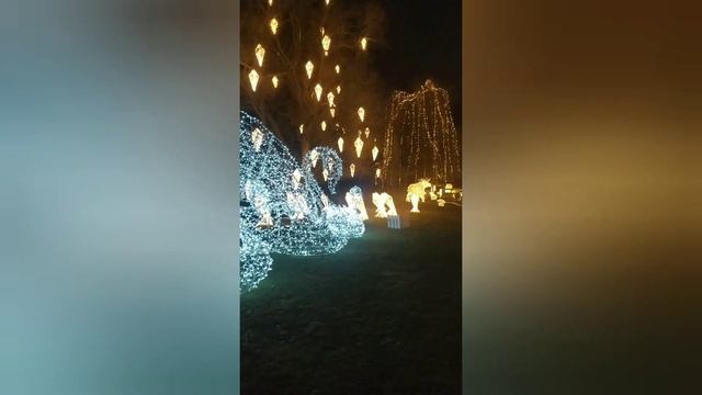 До свидания Прага.Еду домой. смотреть онлайн