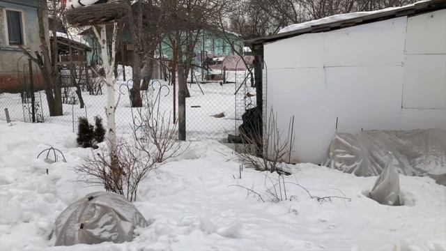 РОЗЫ. ЦВЕТЫ. САД. ЖИЗНЬ. РАССТАВАНИЕ. ТАК НЕ ХОЧЕТСЯ, НО ВСЁ ВОЗМОЖНО. ЕСЛИ ЗАКРОЮТ ЮТУБ - МЫ ГОТОВ смотреть онлайн