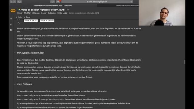 Entraîner un modèle d'arbre de décision en Python avec Scikit-Learn - LES MODELES D'ARBRES #6 смотреть онлайн