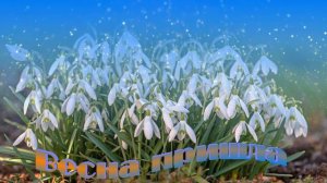 Футаж. Весна пришла 13