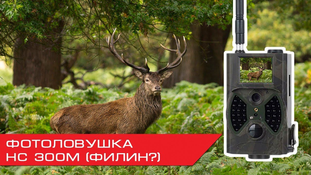 Обзор фотоловушки HC300M (ФИЛИН) смотреть онлайн