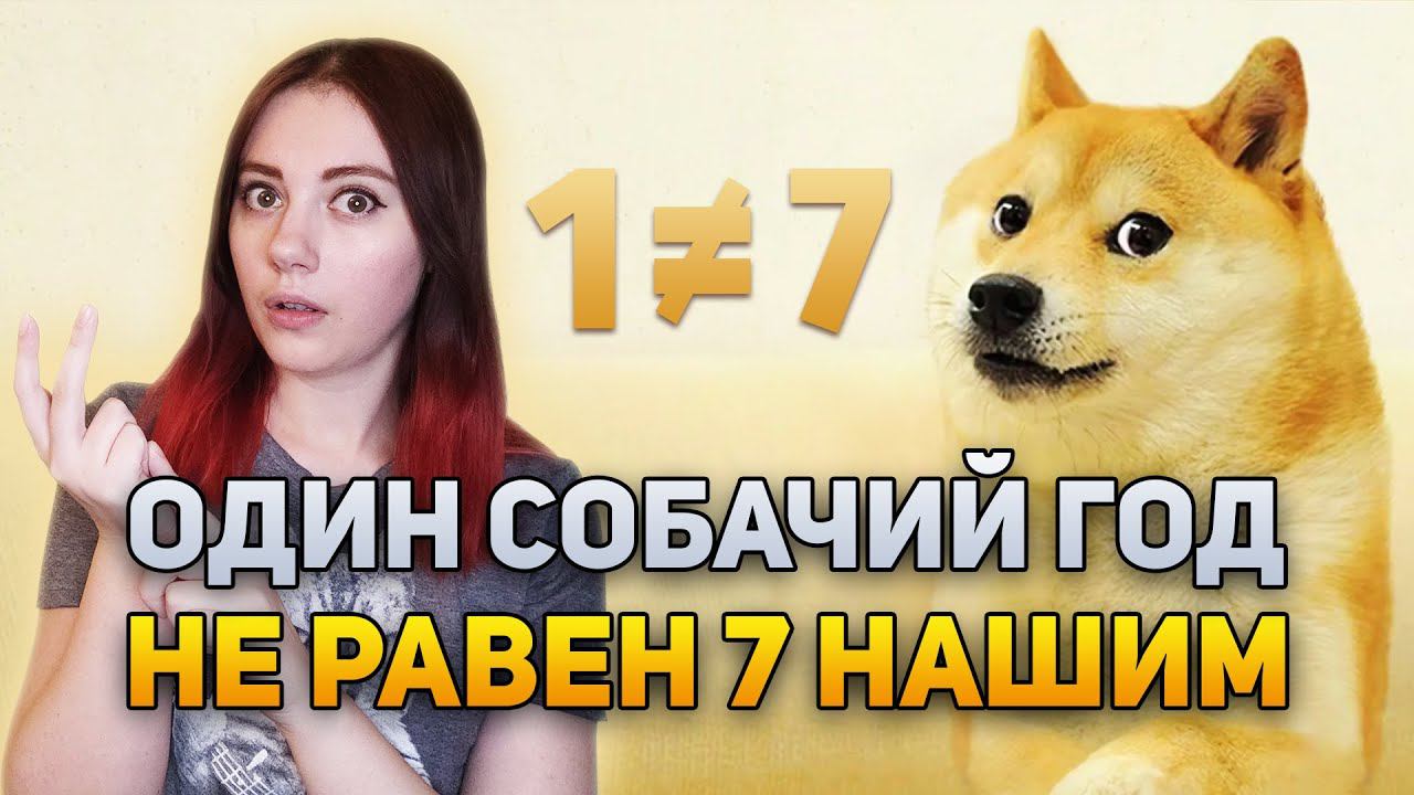Один собачий год НЕ РАВЕН 7 нашим | DeeaFilm смотреть онлайн