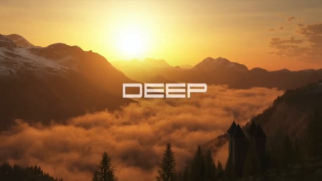 DEEP XIII [Nihil Young, Tinlicker, Rüfüs Du Sol, Helsloot, Roman Kyn And More] By MarkQ