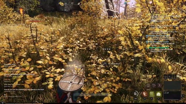 Collect Lucky Rabbit's Foot by Hunting Rabbits New World смотреть онлайн