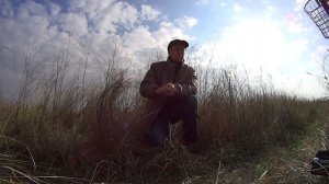 Выбор места для ловли певчих птиц  тайником - 1 часть.