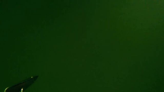 Подводная охота на южном молу г. Балтийска. Камбала , калкан , подводные находки. смотреть онлайн