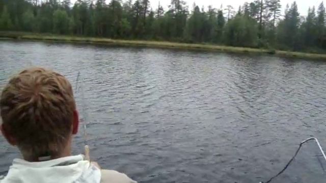 Кумжа Северной Карелии смотреть онлайн