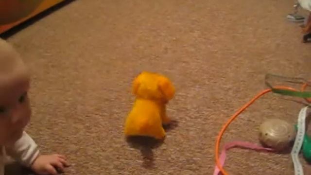 Охота на шакала :) смотреть онлайн