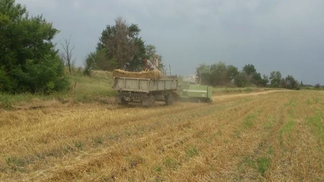 Убираем солому в тюки 2016 пресс подборщиком FORTSCHTRITT k454 смотреть онлайн