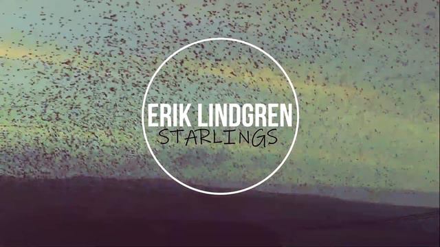 Erik Lindgren - Starlings смотреть онлайн