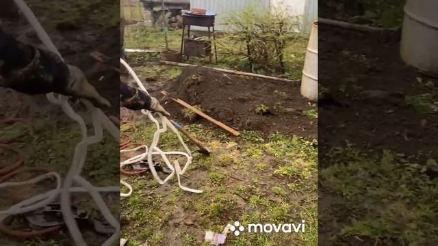 Колодец на плывуне с хорошим подъемом воды смотреть онлайн