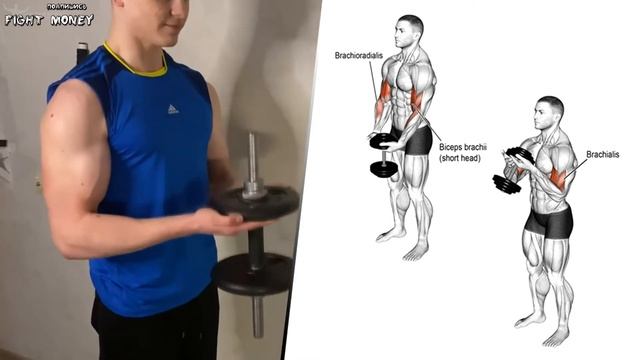 Упражнения для верхней части тела. Тренировка дома с гантелями смотреть онлайн