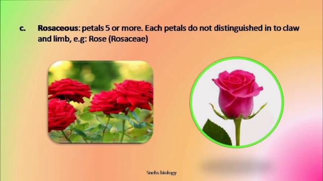 Accessory Whorls Of Flower | Calyx And Corolla | Plant Morphology | Lecture-3 | Snebs Biology