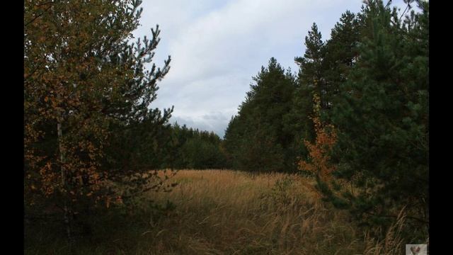Д.дубки70 км от МКАД , газ на участке, сосны, ... смотреть онлайн