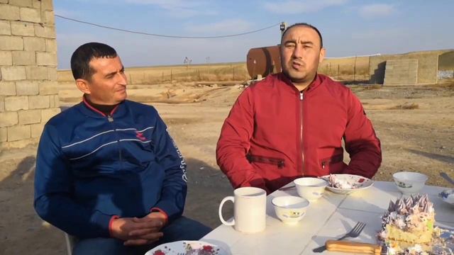 роль кобелей и сук в естественных условиях Туркменистан Кахка САО Central Asian work Dogs Alabai смотреть онлайн