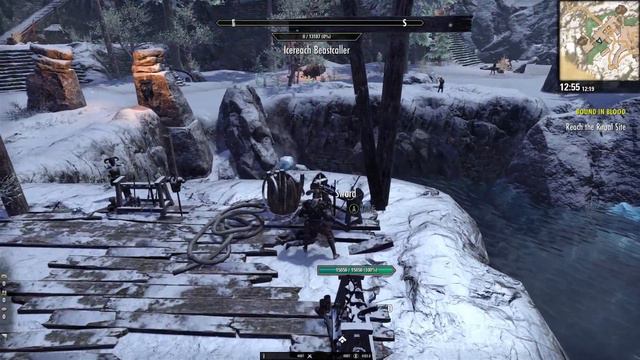 Elder Scrolls Online Greymoor Review - Should new players start here? смотреть онлайн