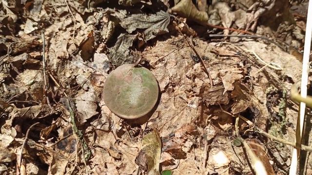 Коп з новим металошукачем Тесей (Theseus) в лісах Черкащини. Царизм, середньовічне срібло. смотреть онлайн
