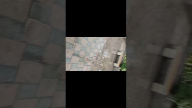 24 ЧАСА БЕЗ ТЕЛЕФОНА ЧЕЛЕНЖ! смотреть онлайн