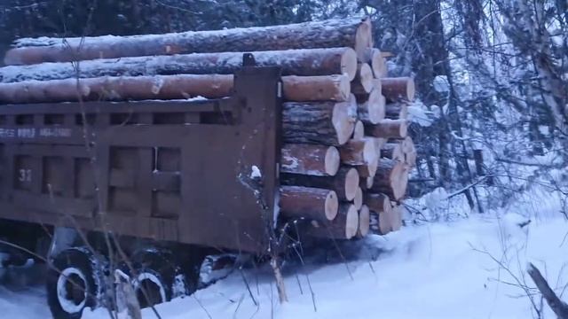 Вывоз леса смотреть онлайн