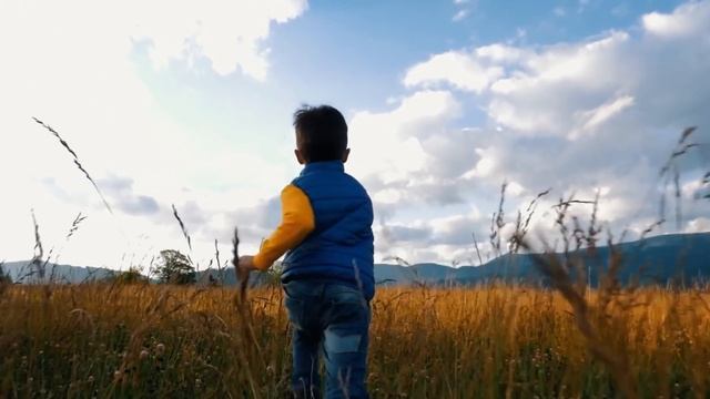 Когда лоси увидели что мачеха оставила младенца у рельсов, то не смогли пройти мимо. смотреть онлайн