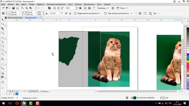 Работа с фотографиями в CorelDraw [Обработка фотграфий в Кореле - Трассировка изображений]
