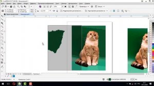 Работа с фотографиями в CorelDraw [Обработка фотграфий в Кореле - Трассировка изображений]