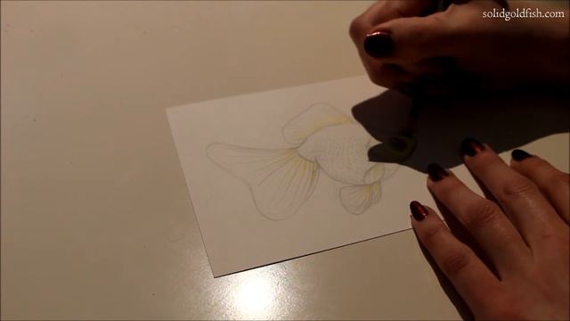 ✎ White Butterfly Telescope | Solid Gold Sketchbook смотреть онлайн