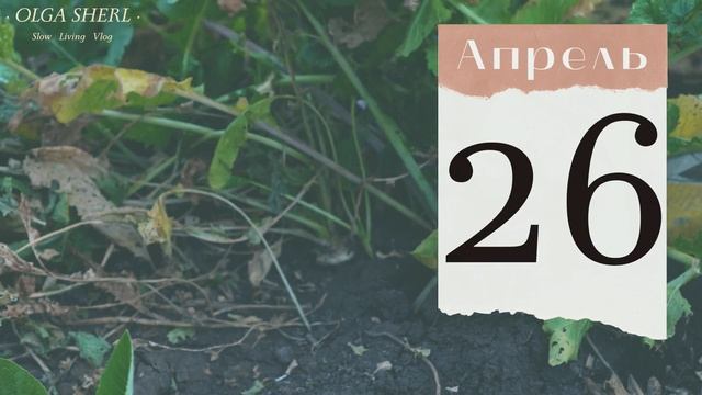 РЕДИС: лунный календарь на АПРЕЛЬ 2023! Когда Сеять Дайкон, Редьку и Репу благоприятные даты! смотреть онлайн