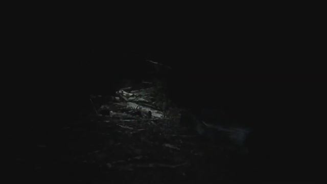 Blair Witch | Scary Game Squad | Full Playthrough смотреть онлайн