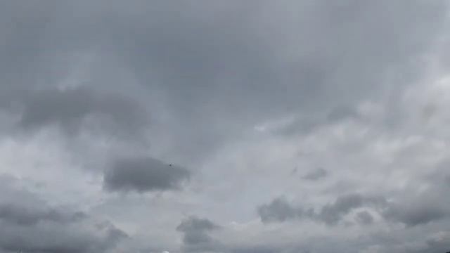 Team Niebergall 2x Siai Marchetti SF-260 (RC and Original): Demonstration Schameda 2019 смотреть онлайн