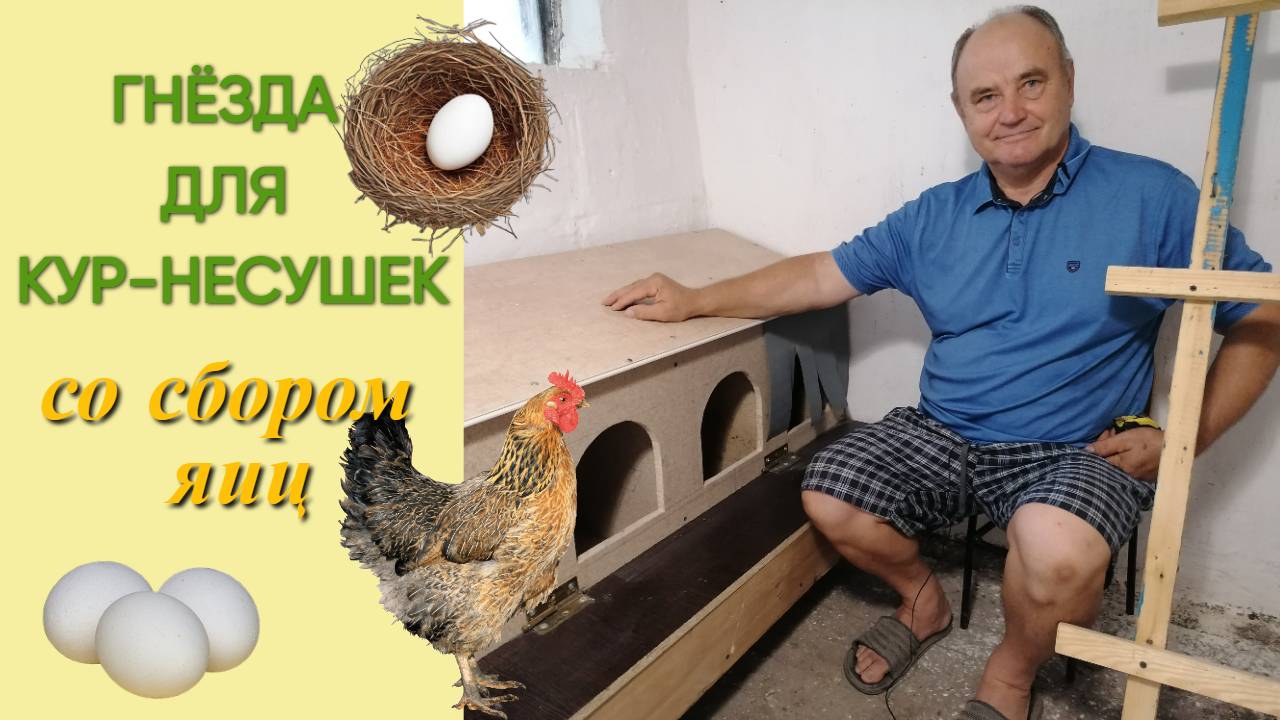 Гнёзда для кур-несушек со сбором яичек смотреть онлайн