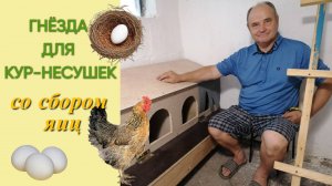 Гнёзда для кур-несушек со сбором яичек