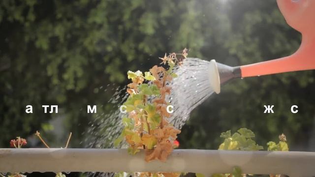 Мудрость из Индии - яркие афоризмы смотреть онлайн