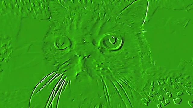 GIT CAT смотреть онлайн