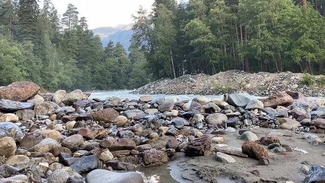(Часть 2) Ужасная встреча с медведицей, просто ужас во плоти! смотреть онлайн
