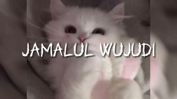 jamalul wujudi nasheed | jxvnav